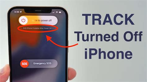 How do I reset my stolen iPhone?